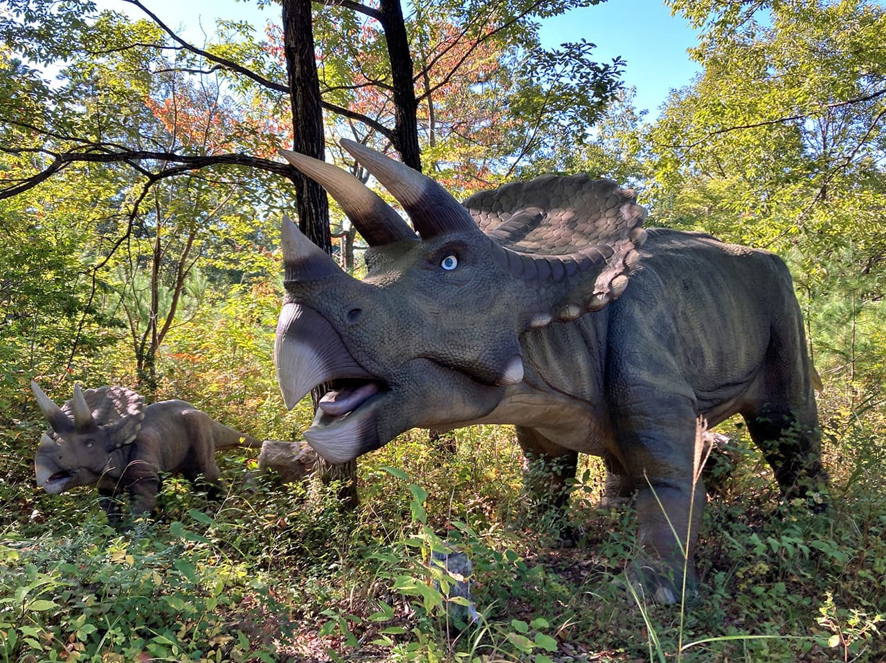 勝山ディノパークの恐竜モデル