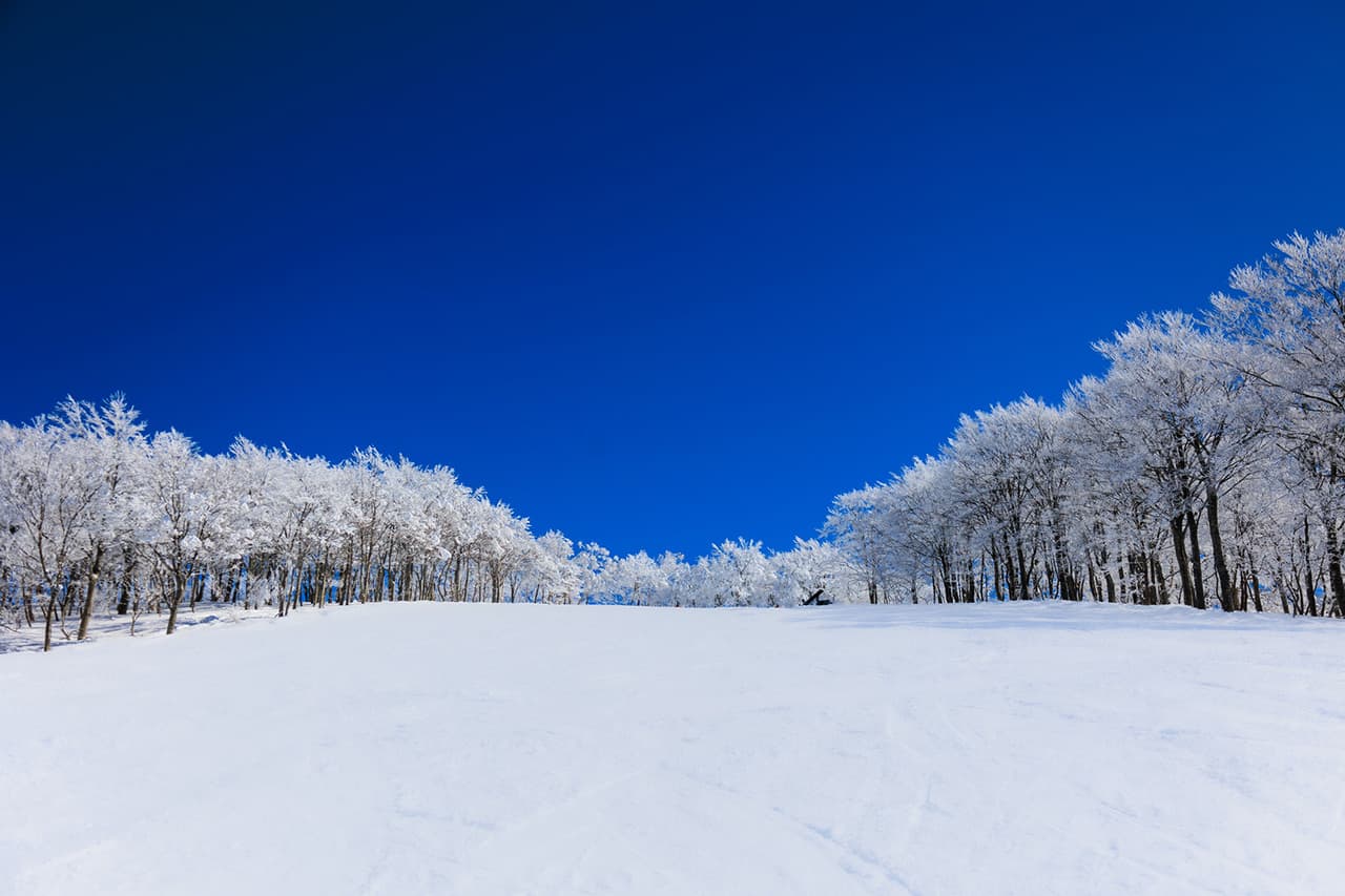 福井県立恐竜博物館の外観