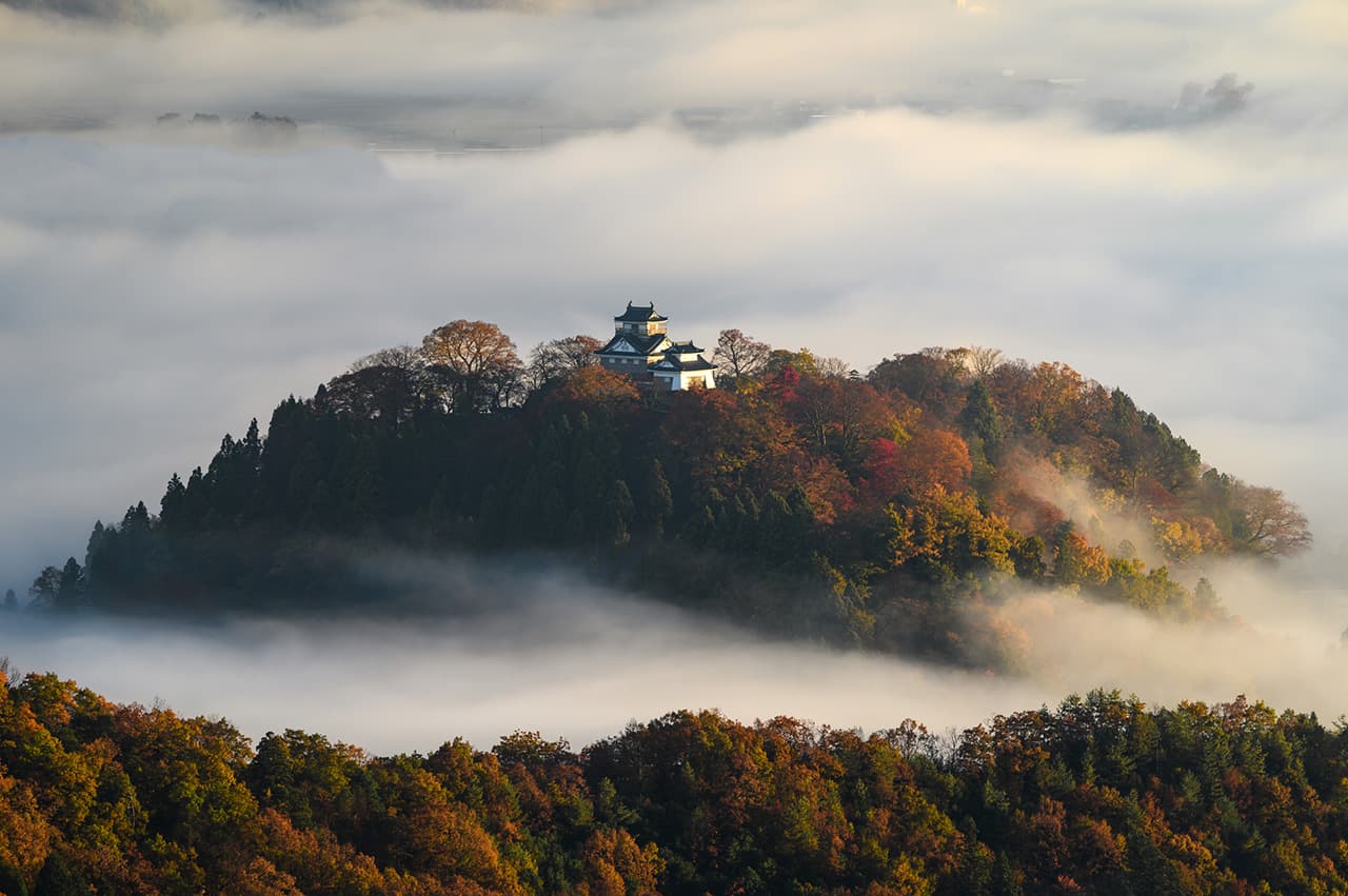 勝山ディノパークの恐竜モデル
